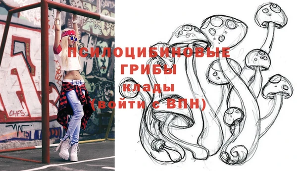 jwh Зерноград
