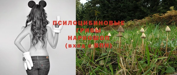 jwh Зерноград